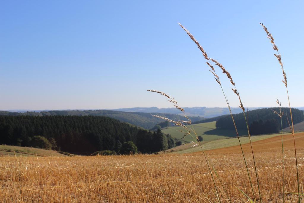 Hotel Reiff Fischbach-lès-Clervaux Eksteriør bilde